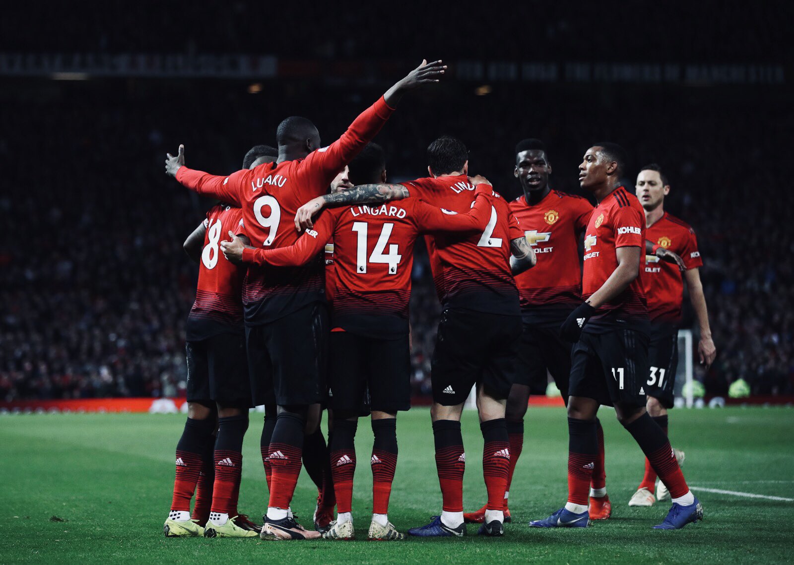 广泛的应用领域